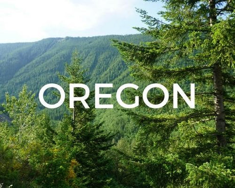 Oregon forests